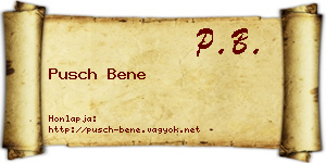 Pusch Bene névjegykártya